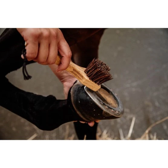 Grooming Deluxe By Kentucky Hufkratzer 4 Grooming Deluxe By Kentucky Hufkratzer – Bild 2