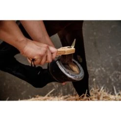 Grooming Deluxe By Kentucky Hufkratzer 13 Grooming Deluxe By Kentucky Hufkratzer -Reitsportbedarf Verkäufe groomingdeluxehoevenkrabber gd hk7.313edd