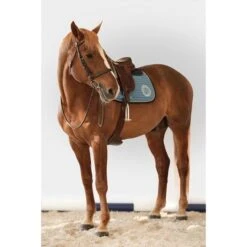 Harcour Schabracke Karembar Springen Burgunderrot Warmblut 20 Harcour Schabracke Karembar Springen Burgunderrot Warmblut -Reitsportbedarf Verkäufe harcour frenchblue karembar tapis de selle rider 1.4db6c3