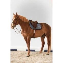 Harcour Schabracke Karembar Springen Burgunderrot Warmblut 18 Harcour Schabracke Karembar Springen Burgunderrot Warmblut -Reitsportbedarf Verkäufe harcour karembar tapis de selle rider 7.272880