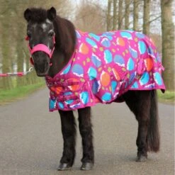 HB Ruitersport Outdoordecke Harry And Hector Hedgehog Türkis 85 -Reitsportbedarf Verkäufe hb 1427 fuchsia.99ea9a