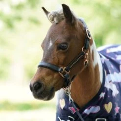 HB Harry And Hector Outdoordecke Unicorn Triple -Reitsportbedarf Verkäufe hb 1429 2.7dccb2