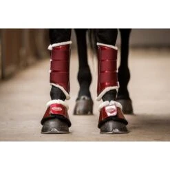 HB Ruitersport Beinschutz Crown Schwarz -Reitsportbedarf Verkäufe hb 230 burgundy.e46058