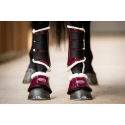 HB Ruitersport Beinschutz Crown Schwarz -Reitsportbedarf Verkäufe hb 230 cherry.1ff0f2