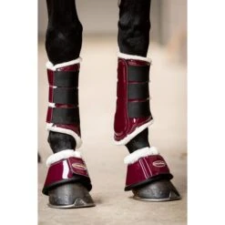 HB Ruitersport Beinschutz Crown Schwarz -Reitsportbedarf Verkäufe hb 230 cherry.ef3a0f