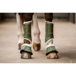 HB Ruitersport Beinschutz Crown Schwarz -Reitsportbedarf Verkäufe hb 230 olijf.cb970d