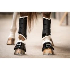 HB Ruitersport Beinschutz Crown Schwarz -Reitsportbedarf Verkäufe hb 230 zwart.b31dfb