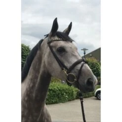 HB Showtime Trense Fleur Braun One Size -Reitsportbedarf Verkäufe hb 380 1.fbfeff