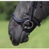 HB Showtime Nasenriemen Anatomisch Schwarz -Reitsportbedarf Verkäufe hb 426.c85a1a