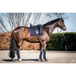 HB Showtime Schabracke Crown Dressur Weiß 39 HB Showtime Schabracke Crown Dressur Weiß -Reitsportbedarf Verkäufe hb 641 navy.141590
