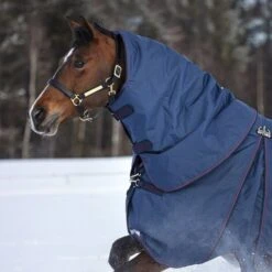 Rambo Halsstück Optimo 150g Navy/Burgund/Teal -Reitsportbedarf Verkäufe horseware aaafnb bqgb 1200x1500.5d4736