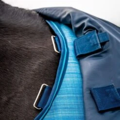 Amigo Turnout Hero 900 Revive Plus 50g Ozeanblau -Reitsportbedarf Verkäufe horseware aarpl3 dbc0 amigo hero 900 revive plus 22.9d8f6a