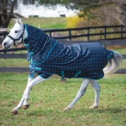 Amigo Pony Plus 50g Schwarz Check Teal/Silver