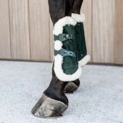 Kentucky Horsewear Kentucky Sehnenschutz Bamboo Elastic Velvet Vegan Bunt Bordeaux -Reitsportbedarf Verkäufe kentucky 179a3588.c5687f