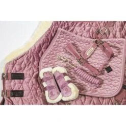 Kentucky Horsewear Kentucky Sehnenschutz Bamboo Elastic Velvet Vegan Bunt Bordeaux -Reitsportbedarf Verkäufe kentucky 179a4722.96c893