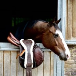 Kentucky Horsewear Kentucky Spring Sattelgurt Sheepskin Anatomic Schwarz -Reitsportbedarf Verkäufe kentucky 42406 05 1 e8502ded370e565d04389cf2c54c4715 article photobook crop.cc5df4
