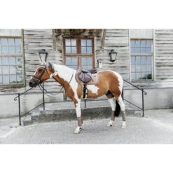 Kentucky Horsewear Kentucky Schabracke Velvet Pearls Springen Navy 29 Kentucky Horsewear Kentucky Schabracke Velvet Pearls Springen Navy -Reitsportbedarf Verkäufe kentucky 485a2419.3c622f
