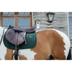 Kentucky Horsewear Kentucky Schabracke Velvet Pearls Springen Navy 31 Kentucky Horsewear Kentucky Schabracke Velvet Pearls Springen Navy -Reitsportbedarf Verkäufe kentucky 485a2608.2ddea6