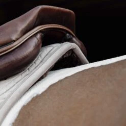 Kentucky Horsewear Kentucky Schabracke Skin Friendly Springen Navy Warmblut -Reitsportbedarf Verkäufe kentucky 485a3422 564c22e810080218547dfa1c1093aa08 article photobook l.17d399 1