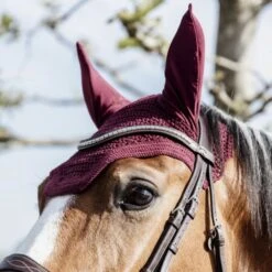 Kentucky Horsewear Kentucky Ohrnetz Wellington Soundless Schwarz 19 Kentucky Horsewear Kentucky Ohrnetz Wellington Soundless Schwarz -Reitsportbedarf Verkäufe kentucky 485a6841 564c22e810080218547dfa1c1093aa08 article photobook l.229014