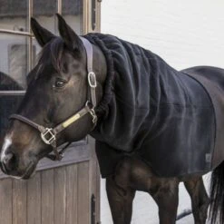 Kentucky Horsewear Kentucky Hals Heavy Fleece Schwarz Warmblut 11 Kentucky Horsewear Kentucky Hals Heavy Fleece Schwarz Warmblut -Reitsportbedarf Verkäufe kentucky 485a7755.6e88e8