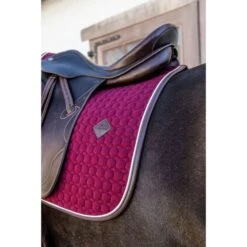 Kentucky Horsewear Kentucky Dressur Satteldecke Classic Leder Orange Warmblut -Reitsportbedarf Verkäufe kentucky 485a7924.c261d1