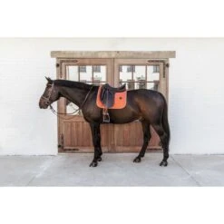 Kentucky Horsewear Kentucky Dressur Satteldecke Classic Leder Orange Warmblut -Reitsportbedarf Verkäufe kentucky 485a7940.0c2f24