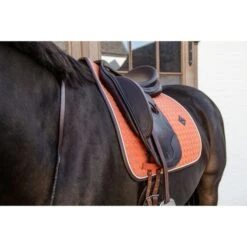 Kentucky Horsewear Kentucky Dressur Satteldecke Classic Leder Orange Warmblut -Reitsportbedarf Verkäufe kentucky 485a7973.5c9777