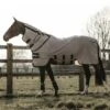 Kentucky Horsewear Kentucky Fliegendecke Beige -Reitsportbedarf Verkäufe kentucky 52183 2.8b0912