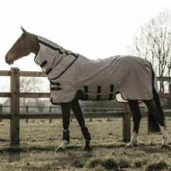 Kentucky Horsewear Kentucky Fliegendecke Beige