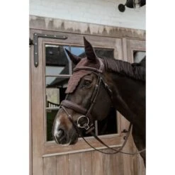 Kentucky Horsewear Kentucky Ohrnetz Wellington Wave Schwarz Warmblut 12 Kentucky Horsewear Kentucky Ohrnetz Wellington Wave Schwarz Warmblut -Reitsportbedarf Verkäufe kentucky 6538ac0c8538c 675bd68a615cf72b548efb4531f6232e8d51af7d 179a0520.77dbad