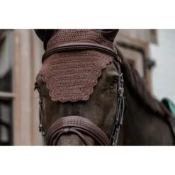 Kentucky Horsewear Kentucky Ohrnetz Wellington Wave Schwarz Warmblut 14 Kentucky Horsewear Kentucky Ohrnetz Wellington Wave Schwarz Warmblut -Reitsportbedarf Verkäufe kentucky 6538ac0eda09b 03432838f2f5d101fa0910312b3ac9d3fd379480 179a0511.612bd4