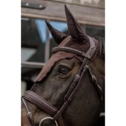 Kentucky Horsewear Kentucky Ohrnetz Wellington Wave Schwarz Warmblut 15 Kentucky Horsewear Kentucky Ohrnetz Wellington Wave Schwarz Warmblut -Reitsportbedarf Verkäufe kentucky 6538ac0f550bd 092f3ecb219c210a755dd75084621f3209e32a5c 179a0524.8e5070