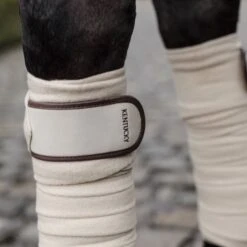 Kentucky Horsewear Bandagen Polar Fleece Beige Warmblut 20 Kentucky Horsewear Bandagen Polar Fleece Beige Warmblut -Reitsportbedarf Verkäufe kentucky bandages polar fleece beige.190a12