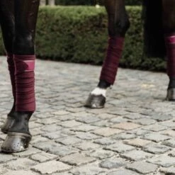 Kentucky Horsewear Bandagen Polar Fleece Beige Warmblut 22 Kentucky Horsewear Bandagen Polar Fleece Beige Warmblut -Reitsportbedarf Verkäufe kentucky bandages polar fleece bordeaux.da8e70