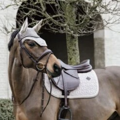 Kentucky Horsewear Kentucky Schabracke Basic Velvet Springen Beige Vollblut -Reitsportbedarf Verkäufe kentucky zadeldekje basic velvet sj beige 3.9b91bc