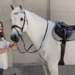 Kentucky Horsewear Kentucky Schabracke Pied-de-Poule Springen Schwarz Warmblut -Reitsportbedarf Verkäufe kentucky zadeldekje pied de poule springen brown 3.618cfd