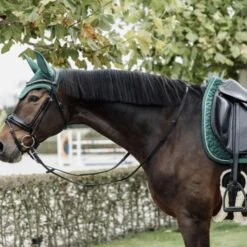 Kentucky Horsewear Kentucky Dressur Satteldecke Velvet Senffarben Warmblut 39 Kentucky Horsewear Kentucky Dressur Satteldecke Velvet Senffarben Warmblut -Reitsportbedarf Verkäufe kentucky zadeldekje velvet dressuur donkergroen 2.4ddedf