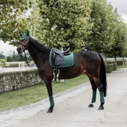 Kentucky Horsewear Kentucky Dressur Satteldecke Velvet Smaragdgrün Warmblut 41 Kentucky Horsewear Kentucky Dressur Satteldecke Velvet Smaragdgrün Warmblut -Reitsportbedarf Verkäufe kentucky zadeldekje velvet dressuur donkergroen 3.1084ba 1