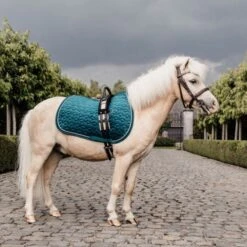 Kentucky Horsewear Kentucky Schabracke Velvet Old Rose Pony 17 Kentucky Horsewear Kentucky Schabracke Velvet Old Rose Pony -Reitsportbedarf Verkäufe kentucky zadeldekje velvet emerald pony.b48506