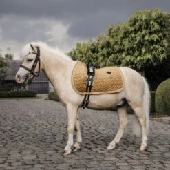 Kentucky Horsewear Kentucky Schabracke Velvet Old Rose Pony 23 Kentucky Horsewear Kentucky Schabracke Velvet Old Rose Pony -Reitsportbedarf Verkäufe kentucky zadeldekje velvet geel pony.a5760b