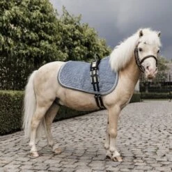 Kentucky Horsewear Kentucky Schabracke Velvet Old Rose Pony 20 Kentucky Horsewear Kentucky Schabracke Velvet Old Rose Pony -Reitsportbedarf Verkäufe kentucky zadeldekje velvet lichtblauw pony.f8086c