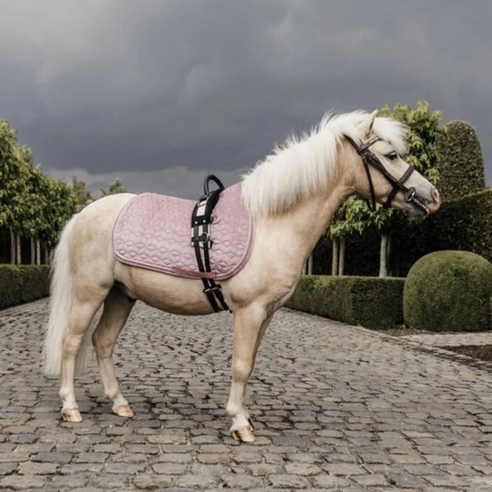 Kentucky Horsewear Kentucky Schabracke Velvet Old Rose Pony 3 Kentucky Horsewear Kentucky Schabracke Velvet Old Rose Pony