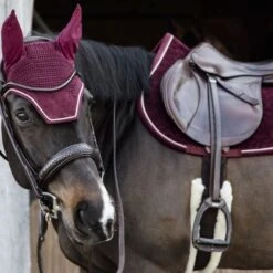 Kentucky Horsewear Kentucky Schabracke Velvet Springen Bordeaux Warmblut -Reitsportbedarf Verkäufe kentucky zadeldekje velvet springen bordeaux 2.fb1a7a