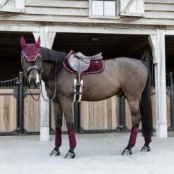 Kentucky Horsewear Kentucky Schabracke Velvet Springen Bordeaux Warmblut -Reitsportbedarf Verkäufe kentucky zadeldekje velvet springen bordeaux 3.221ac1