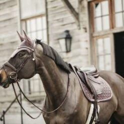 Kentucky Horsewear Kentucky Schabracke Velvet Springen Bordeaux Warmblut -Reitsportbedarf Verkäufe kentucky zadeldekje velvet springen lichtpaars 2.effddc