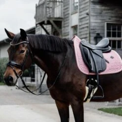 Kentucky Horsewear Kentucky Schabracke Wolle Dressur Hellblau -Reitsportbedarf Verkäufe kentucky zadeldekje wol dressuur roze 2.e0947a