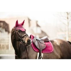 Kentucky Horsewear Kentucky Schabracke Velvet Springen Bordeaux Warmblut -Reitsportbedarf Verkäufe kh 42579 16 1.34b09d