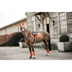 Kentucky Horsewear Kentucky Schabracke Velvet Springen Bordeaux Warmblut -Reitsportbedarf Verkäufe kh 42579 45 4.c4057b