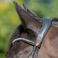 Kieffer Trense Ultrasoft Sue Mit Kristallen -Reitsportbedarf Verkäufe kieffer 3142 kieffer ultrasoft sue horse 1.549633